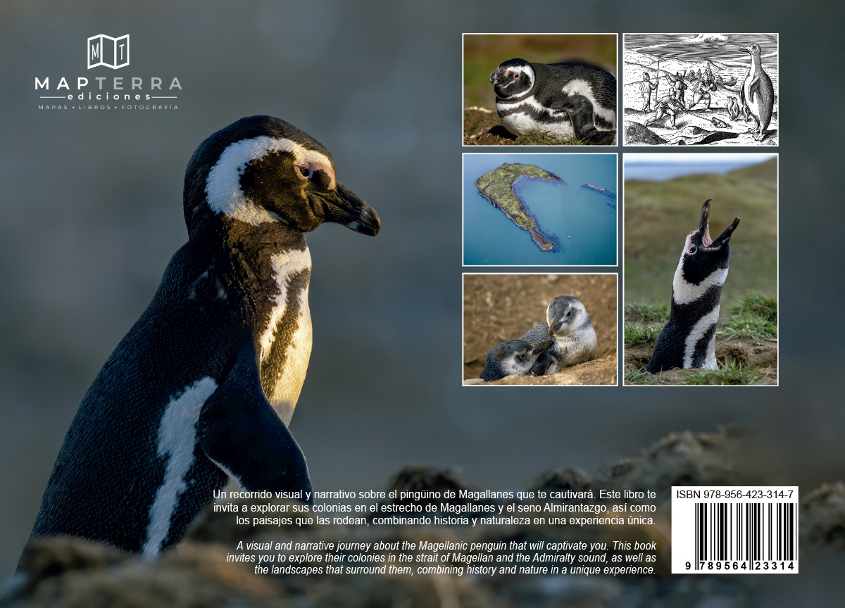 Contraportada Pingüinos
