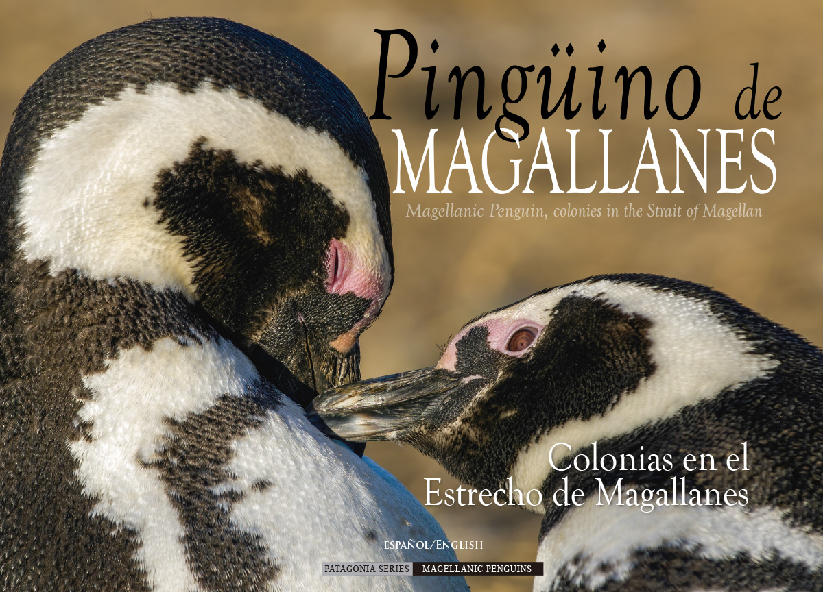 Pingüinos