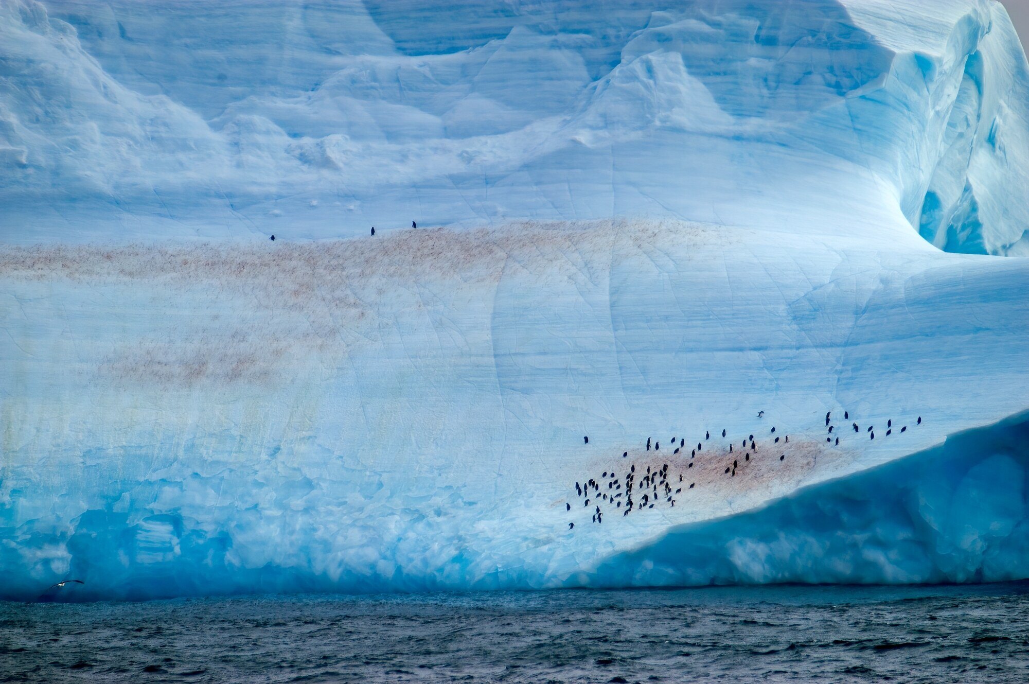 Antártica